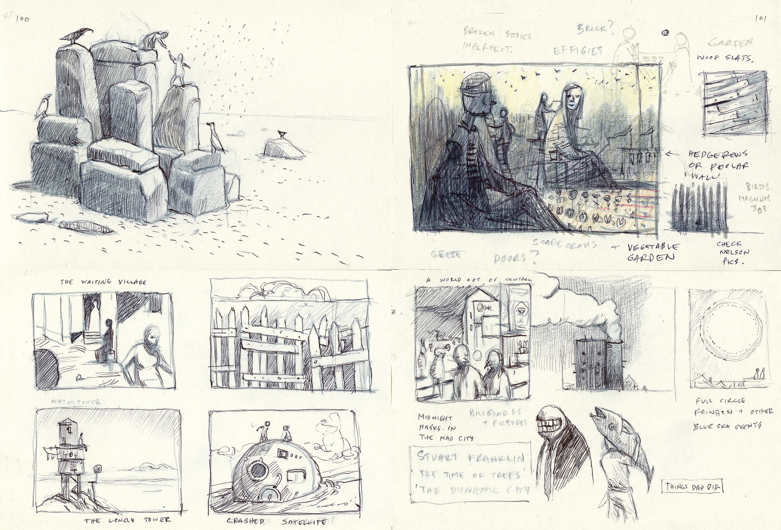 Bird King book — shaun tan